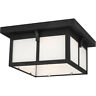 7852702-12 Sea Gull Lighting Tomek Light Inch Black Outdoor 785652076978
