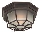 Z390-07 80135 Mount Rust Small Id Light Ceiling Outdoor Cast