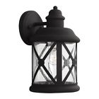 8621401-12 Sea Gull Lighting Lakeview 1