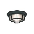87441 Unbranded Outdoor Ceiling Light 724057987441
