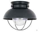 8869-12 Sea Gull Lighting 8869 Black