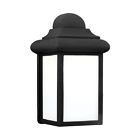 8988en3-12 Sea Gull Lighting Mullberry 785652053375