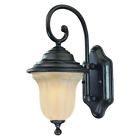 9270-68 Dolan Designs Helena Winchester Small Outdoor Wall Light 765641012446