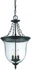 9316bk Acclaim Lighting Outdoor Lantern Light Pendant Hanging Ceiling 0878925008728