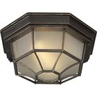 93185028921 Forte Lighting 17005-01-64 Traditional 1-light