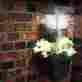 955228 Outdoor Solar Light With Planter Led W Accent Path Walk Way Garden Patio Deck Lantern 0765050955228