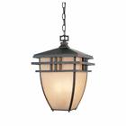9720-16 World Imports Aged Bronze Patina Outdoor Hanging Light 046335994362 9720-16 World Imports Aged Bronze Patina Outdoor Hanging Light 046335994362
