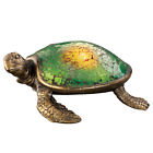 98164 Collections Etc Solar Lighted 842022112374