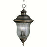9832 9832oz Kichler Light Outdoor Pendant Bronze 783927096645