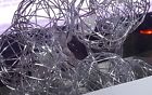 995240 Garden Party Metal Silver Thread Globe String Light 049022986145