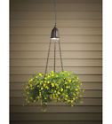 15008 Accent Light Hanging Plant Kichler Azt