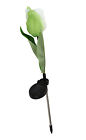 B11120078 Amc Save Energy Led Solar Tulip Lamp Garden Decoration Color Changing Flower Light B11120078 Amc Save Energy Led Solar Tulip Lamp Garden Decoration Color Changing Flower Light