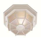 40581 Black Trans Gold Outdoor Lighting Bg Light Ceiling Globe