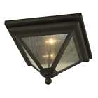 C6470 Troy Lighting Geneva Light Wide Outdoor Flush Mount 782042684867