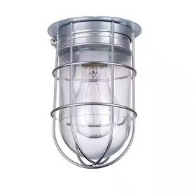 Canarm 744110999167 Outdoor Ceiling Mount Light All-weather Caged Pewter Glass Shade Industrial Wet
