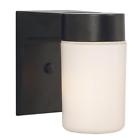 Cli-xy040413 Filament Design Bronze Outdoor Sconce Transitional Style Seedy 775379040413