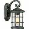 Cse8406ek Quoizel Crusade Earth Black Outdoor Wall Lantern 611728271858