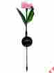 Djf-017-pi Amc Solar Led Color Changing Lily Azalea Flower Landscape Light Garden Stake Lamp 887415216765