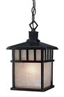 9113-68 Dolan Lantern Designs Outdoor Hanging 1lt Barton Winchester