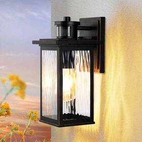 Howl07h Edishine 12 Inch Black Dimmble Motion Sensing Dusk To Dawn Outdoor Wall Lantern