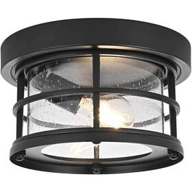 Od614f10bk Elegant Lighting Carla 1 Light 10 Inch Black Outdoor Flush Mount