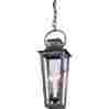 F2966 French Quarter Troy Lighting Aged Pewter 2 Light Outdoor Lantern Pendant 782042774193