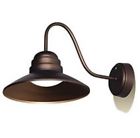 H1005-020503-1 Hoover Led Outdoor Gooseneck