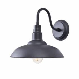 Home Decorators Collection 053392982690 Medium Exterior Wall Lantern