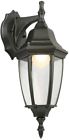 Irz1691lm-3 Portfolio Black Dark Sky Led Outdoor Wall Light Energy Star
