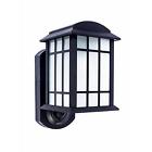 L1706ab Woods Traditional 100w Incandescent Weather