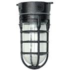 L1706blk Woods Vandal Resistant Incandescent Security Light Ceiling Mount 090529617643