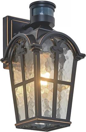 Lifora Hay 711181735048 Motion Sensor Outdoor Indoor Lights 12.6 Inch Dusk To Dawn Lighting Wa