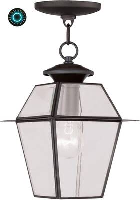 2183-07 Lighting 445050042090 Livex Westover 1-light Outdoor Hanging Lantern Bronze Free Ship