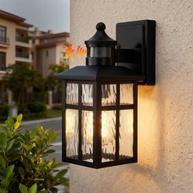 Lighting 726084716384 Outdoor Wall Lights Exterior Dusk To Dawn Motion Sensor Fixtur