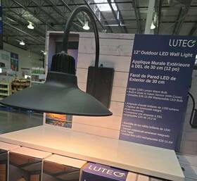 1576926 Lutec 12 Inch Wall Light