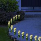 N7fhaibxmr Florals Solar Yellow Rose 628586820852