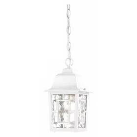 60-4931 Nuvo Banyan 1-light 11 Inch Outdoor Hanging With Clear Water Glass