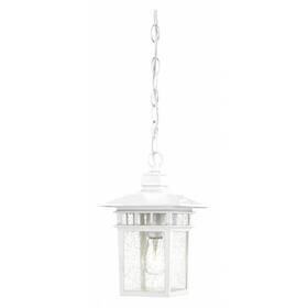 60-4954 Nuvo Cove Neck 1-light 12 Inch Outdoor Hang With Clear Seed Glass