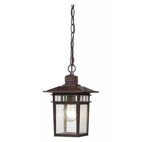 60-4955 Nuvo Cove Neck 1-light 12 Inch Outdoor Hang With Clear Seed Glass