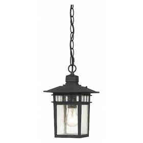 60-4956 Nuvo Cove Neck 1-light 12 Inch Outdoor Hang With Clear Seed Glass