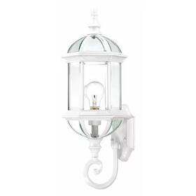 60-4971 Nuvo Boxwood 1-light 22 Inch Outdoor Wall With Clear Beveled Glass