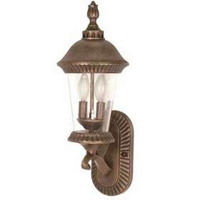 60-963 Nuvo Lighting Platinum Gold And Clear Seed Glass Exterior Wall Light Fixture 20 Inch 60-963 Nuvo Lighting Platinum Gold And Clear Seed Glass Exterior Wall Light Fixture 20 Inch