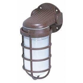 Sf76-621 Nuvo 1-light - 10 Inch Industrial Style Wall Mount With Frosted