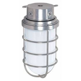 Sf76-626 Nuvo 1-light - 11 Inch Industrial Style Surface Mount With Frosted