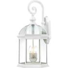 Nv.60-4967 Nuvo Lighting Boxwood Outdoor Wall Light In White 045923649677