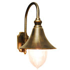 Ot0047-wd-gb Tp Lighting Deluxe Charming 847263057880
