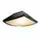 Ot4040a Tp Lighting Black Colored Outdoor Ceiling Light Yard Garden Lamp Fixture 847263059549 Ot4040a Tp Lighting Black Colored Outdoor Ceiling Light Yard Garden Lamp Fixture 847263059549