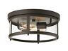 Lighting-p550021-020-gunther P550021-020 Progress Lighting Two Light Flush Mount 785247218967