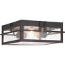 P550038-020 Progress Lighting Boxwood Outdoor Ceiling Light Antique Bronze 785247226641