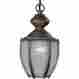 P5565-19 Progress Lighting Nib Roman Bronze Outdoor Chain Or Ceiling Mount Light Fixture 785247556526